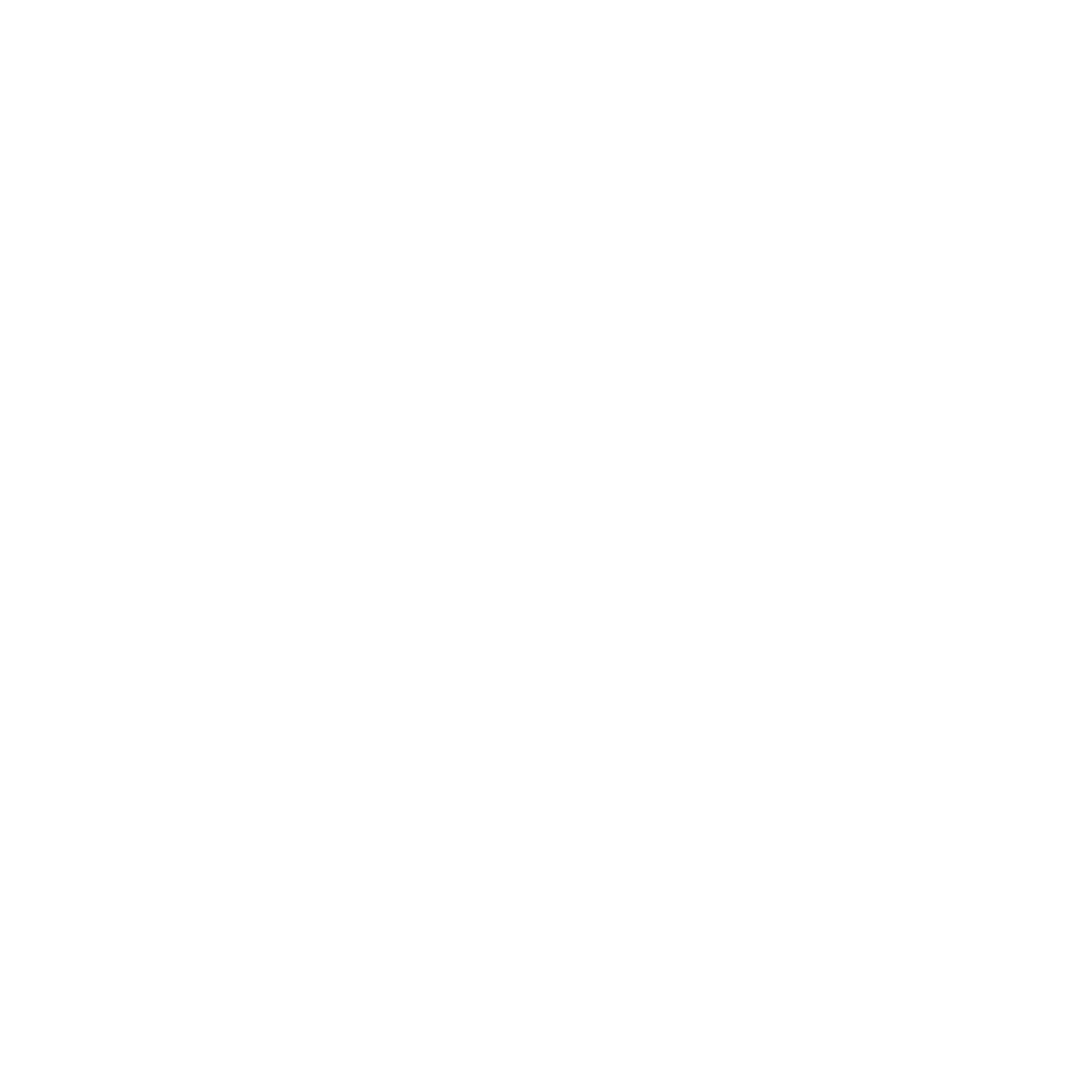 lance logo 3